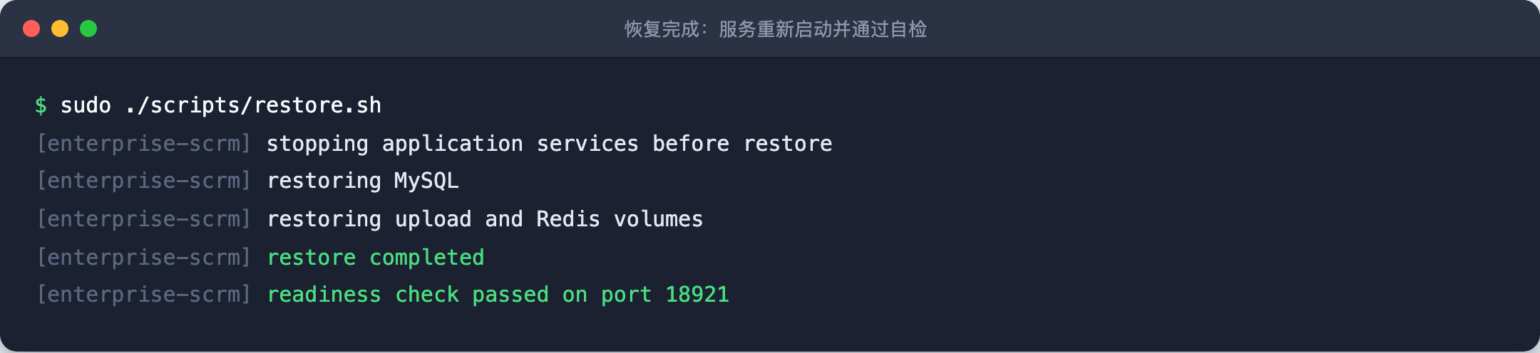 恢复完成：服务重新启动并通过自检