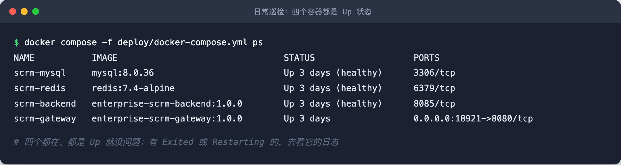 日常巡检:四个容器都是 Up 状态